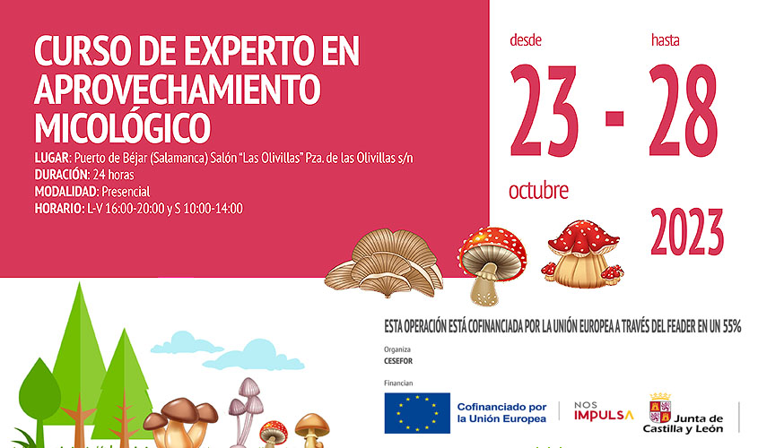curso de experto en aprovechamiento micológico  Salamanca curso de experto en aprovechamiento micológico  Salamanca
