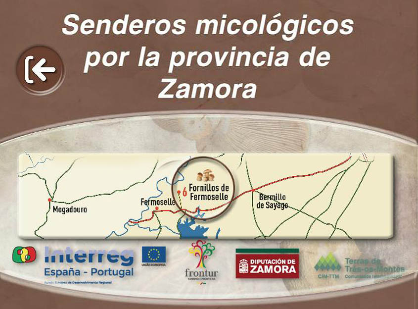 Nueva aplicación móvil con senderos micológicos de Zamora Nueva aplicación móvil con senderos micológicos de Zamora