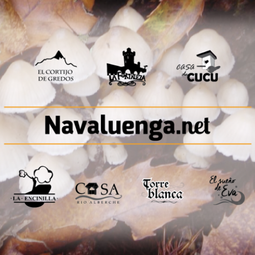 Alojamientos rurales